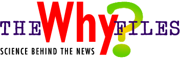 The Why Files - Science behind the news
